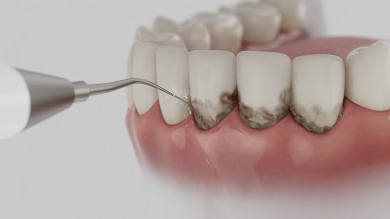 Reliable Dental contractor in Bayou Vista, TX by Dentist Open Now